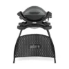 Weber Q1400 With Stand