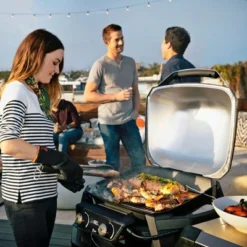 Grillora Sales -Grillora Sales 82010074 3