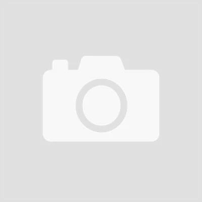 Weber 900 Igniter Kit 1 Weber 900 Igniter Kit